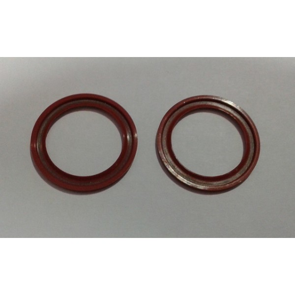 COPPIA TENUTA LABBRO CRL FRM SE 19,5X26X1,5 VG