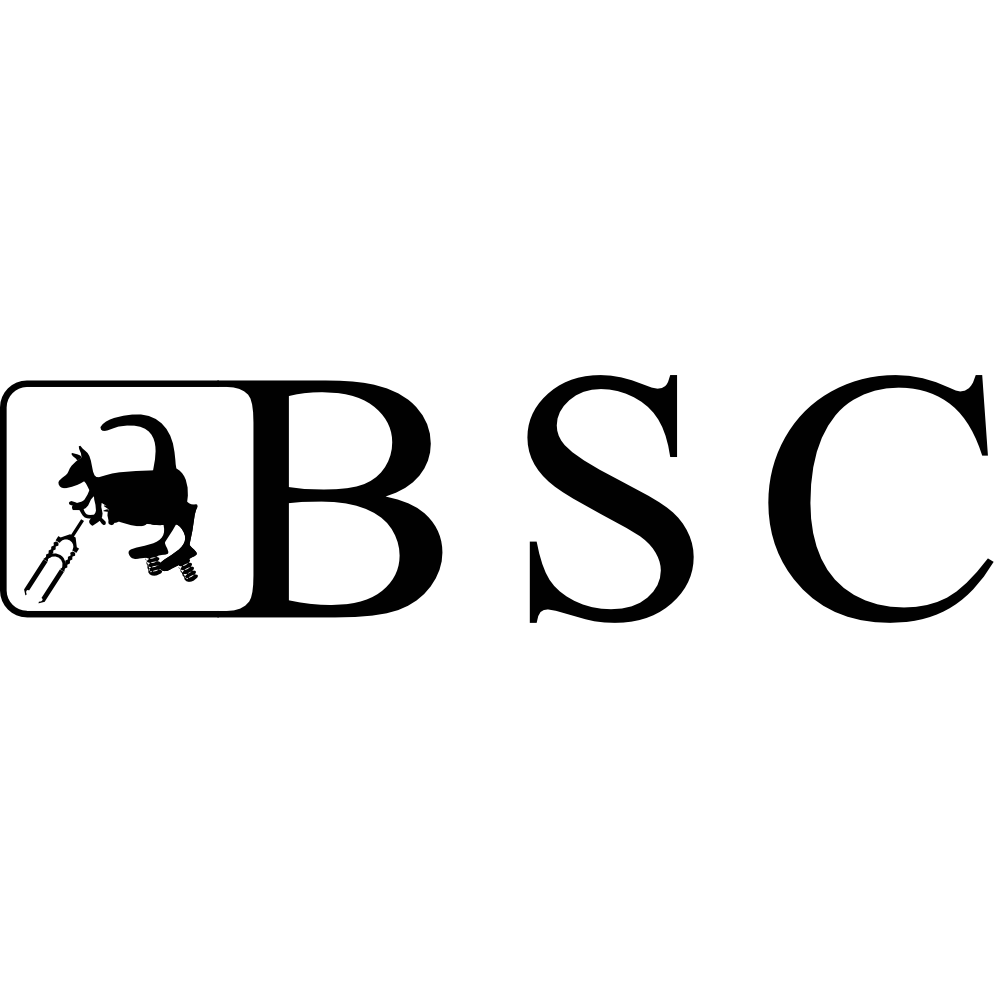 BSC